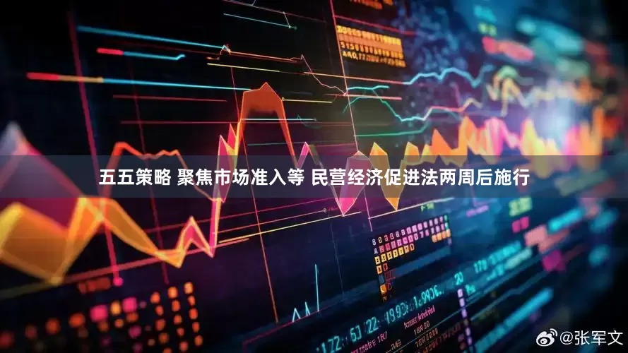 五五策略 聚焦市场准入等 民营经济促进法两周后施行